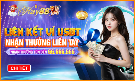 liên kết ví usdt